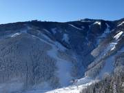 Discesa standard nera