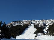 Vista sulle ripide piste del North American