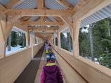 Tappeto trasportatore 100 m con tunnel in legno