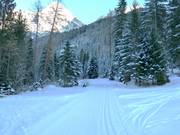 La pista da fondo parte direttamente dalla pista da sci