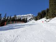 Pista Netzhang rossa