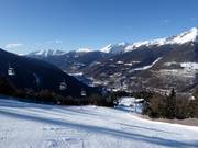Discese tra i boschi tra Ponte di Legno e Temù