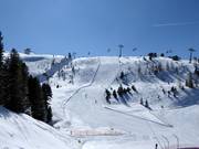 Breve pista difficile Schafnase presso la Schafalmbahn