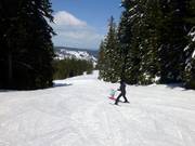 Discesa per famiglie