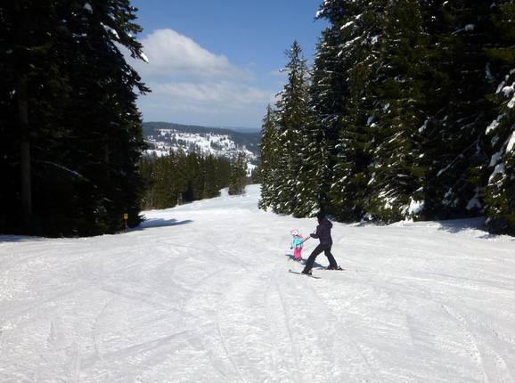 Discesa per famiglie