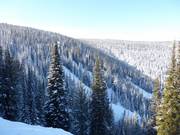 Vista sulle discese Double Diamond sul retro