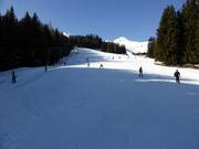 Pendio per esercitazioni Kreuzboden