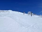 Pista difficile Champion (Annupuri)