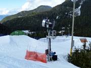 Cannone da neve al Cypress Mountain
