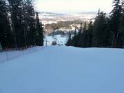 Discesa nel bosco di media difficoltà