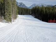 Pista facile nella zona a valle