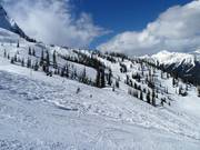 Vista sulla Lizard Bowl