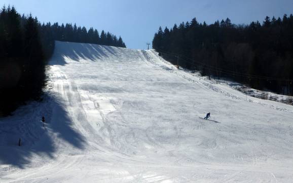 Offerta di piste Waldshut – Offerta di piste Menzenschwand (St. Blasien) - Spießhorn