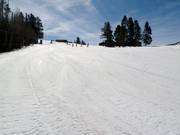 Discesa larga Friedl´s