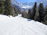 Pista di collegamento Kanzel-Seilbahn