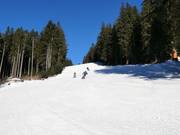 Pista di media difficoltà presso la seggiovia