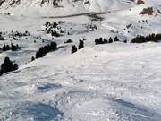 Pista da gobbe Ochsaköpf