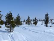 Piste da fondo a Idre Himmelfjäll