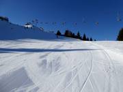 Pista intermedia Topolino