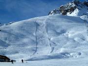 Pista nera Costera FIS