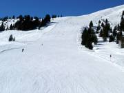 Pista larga n. 64 Bärenbadkogel 2