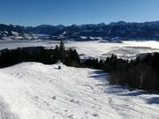 Tracce nella neve fresca