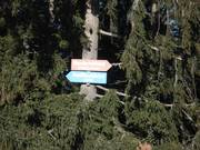 Segnaletica delle piste