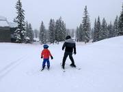 Area di esercitazione presso il tappeto Porcupine