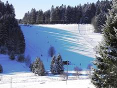 Mappa delle piste Wehrhalden