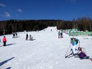 Pista d’esercizio Harmony