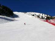 Pista nera Torre di Pisa