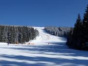 Pista Turistická Medvědín