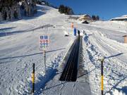 Tappeto mobile Pardiel