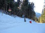 Suggerimento per i più piccoli  - Märchenwald (Bosco delle fiabe) Versciaco