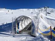 Almwiese - Tapis roulant/Tappeto Magico con galleria