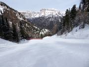 Discesa a valle difficile dal Ciampac ad Alba