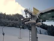 Steineberglift - Skilift con T-bar/ancora