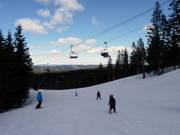 Discesa facile Târnbakken