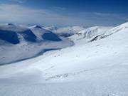 Pendii incontaminati ti aspettano con l'heliski