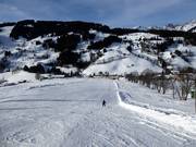 Presso il Bründlstadl ci sono piste ampie e pianeggianti.