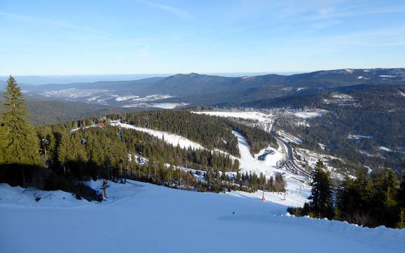 Zwieseler Winkel: Dimensione dei comprensori sciistici – Dimensione Arber