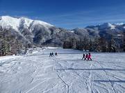 Discesa facile Mosenabfahrt