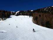 Pista soleggiata Seenock