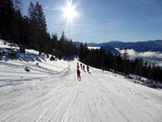 Facile pista da sci Loser