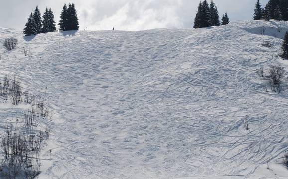 Comprensori sciistici per sciatori esperti e freeriding Val d'Arly – Sciatori esperti, freerider Espace Diamant - Les Saisies/Notre-Dame-de-Bellecombe/Praz sur Arly/Flumet/Crest-Voland