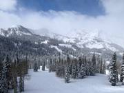 Vista sul comprensorio sciistico di Brighton