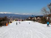 Discesa a valle molto facile Ski road №1