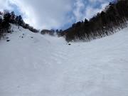 Pista da gobbe Premium Zone