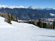 Ampie piste dominano nella Ski Area Val Comelico