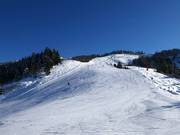 Discesa per famiglie Brandlalm